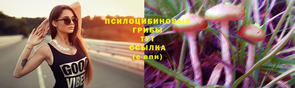 соль курить ск Лагань