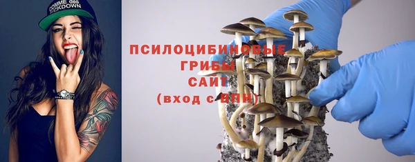 соль ск Ладушкин