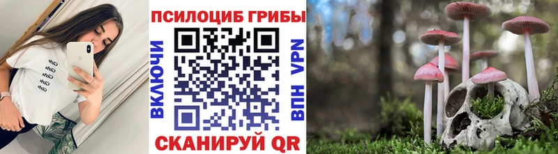 Псилоцибиновые грибы мицелий  Вихоревка 